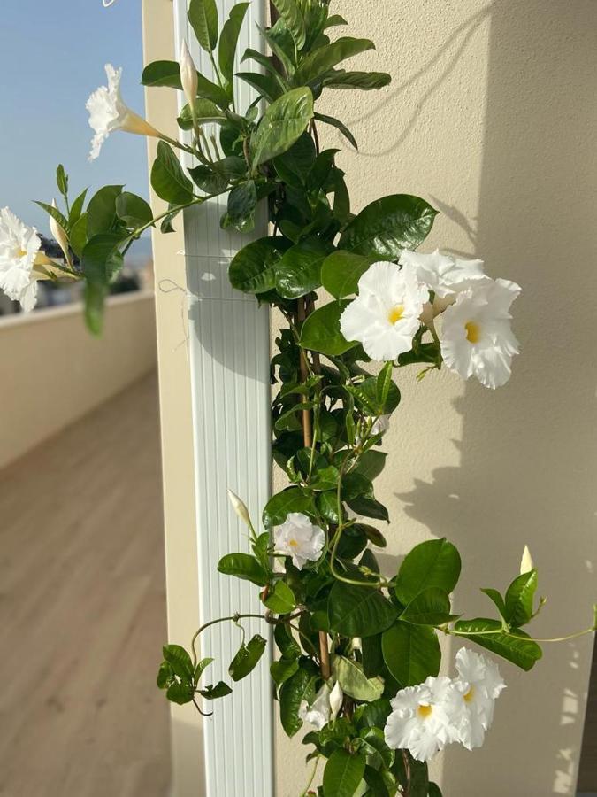 Rossini Penthouse Apartment Cagliari Exterior photo
