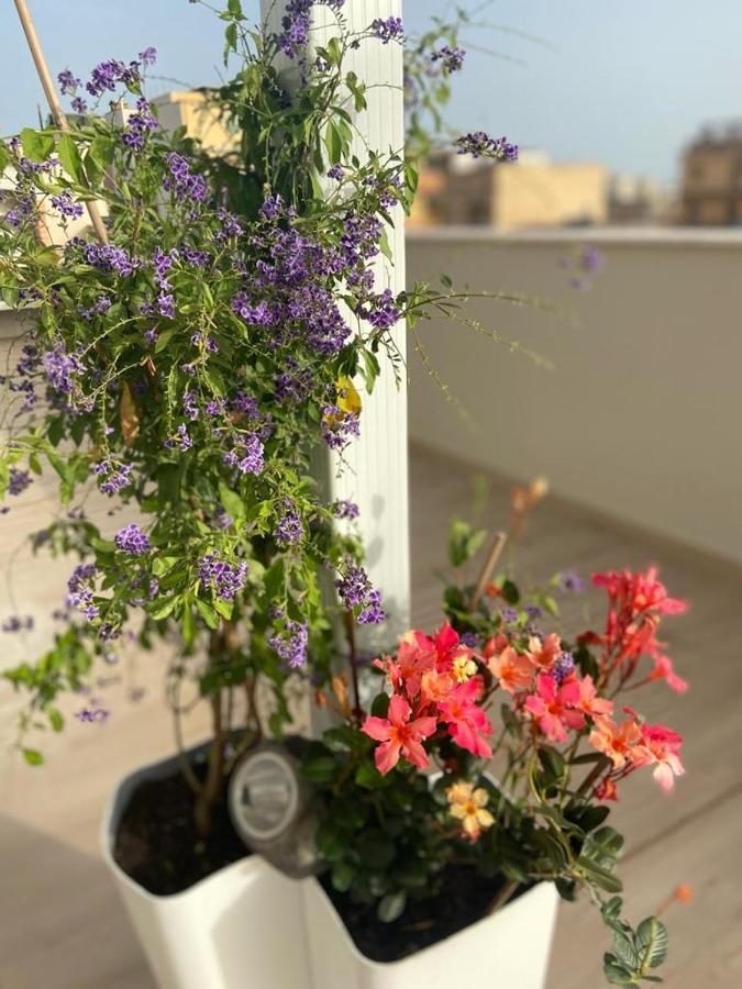 Rossini Penthouse Apartment Cagliari Exterior photo